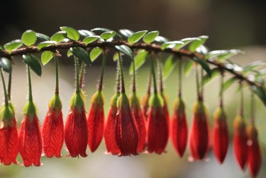 珠海金湾区8私人快速借钱网，轻松解决资金难题