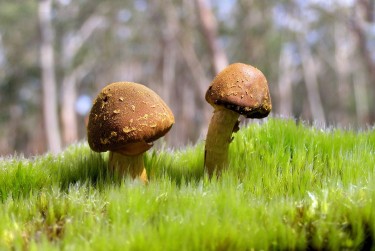 珠海金湾区8私人老板放款：轻松融资的秘密通道